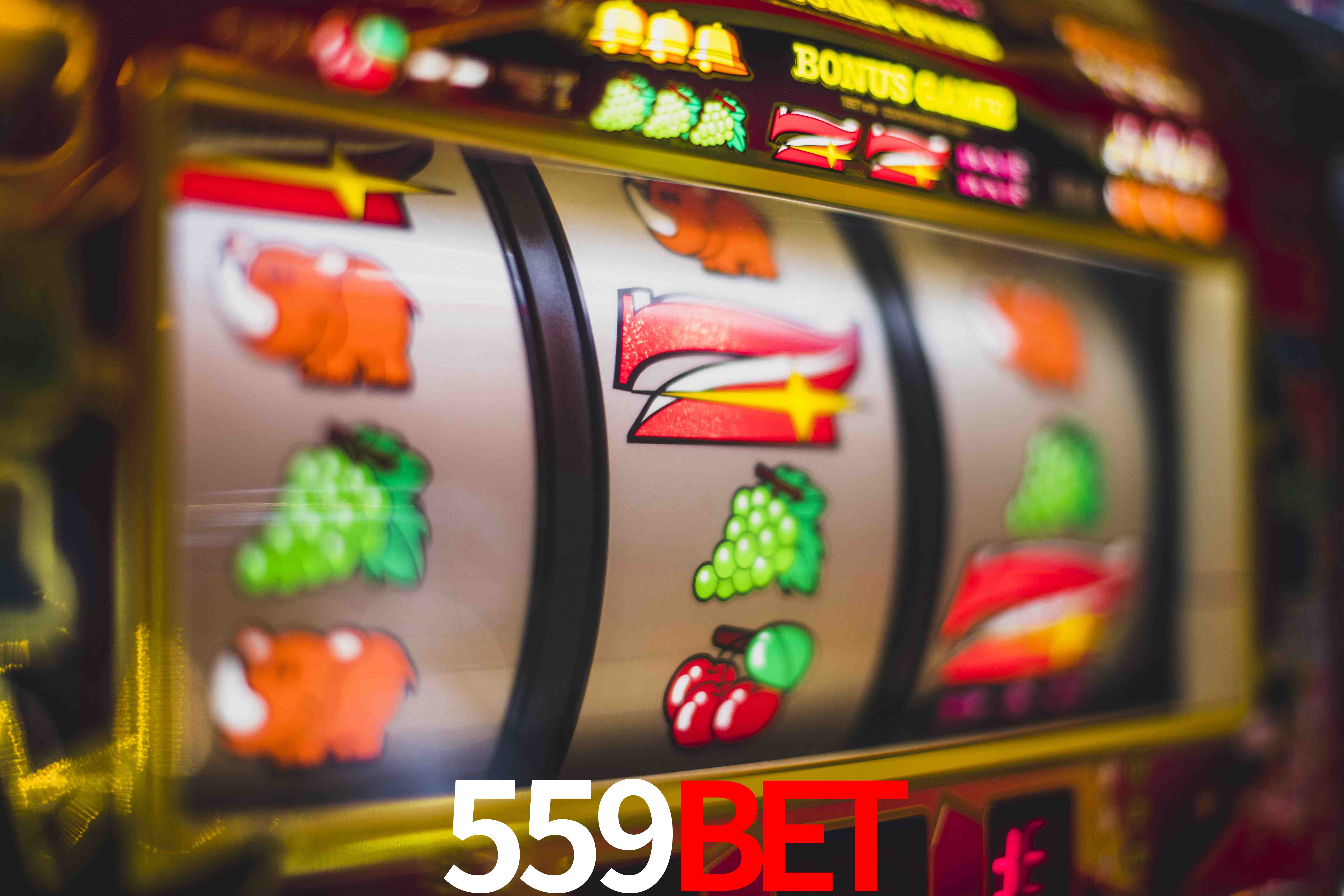 Live Casino 559bet